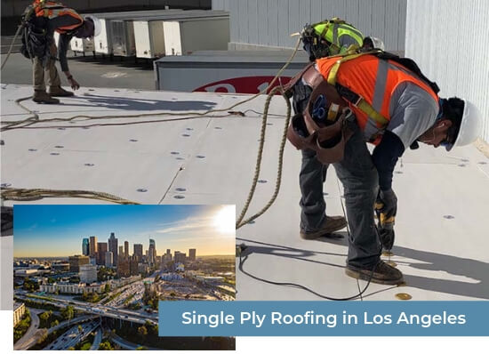 Single Ply Roofing in Los Angeles