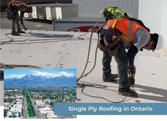 Single Ply Roofing in Ontario