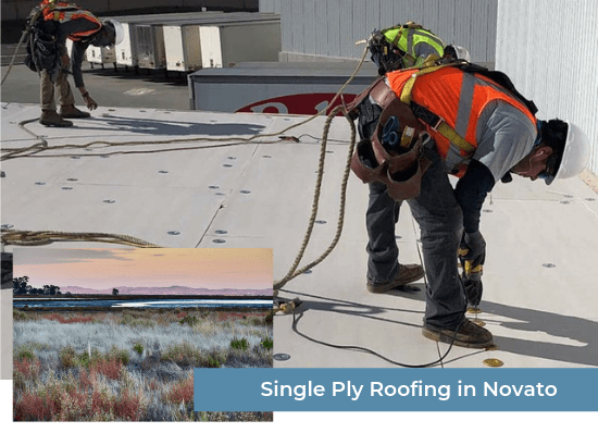 Single Ply Roofing in Novato
