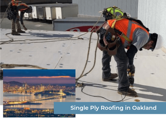 Single Ply Roofing in Oakland