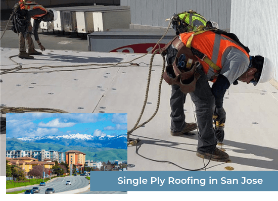 Single Ply Roofing in San Jose
