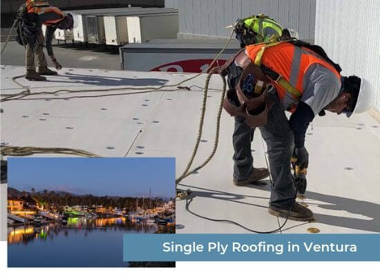 Single Ply Roofing in Ventura