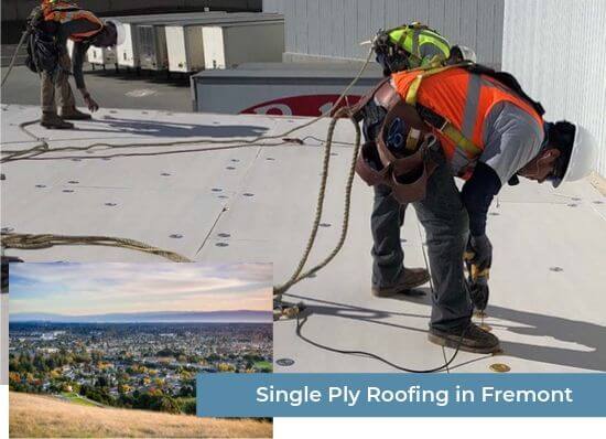 Single Ply Roofing in Fremont