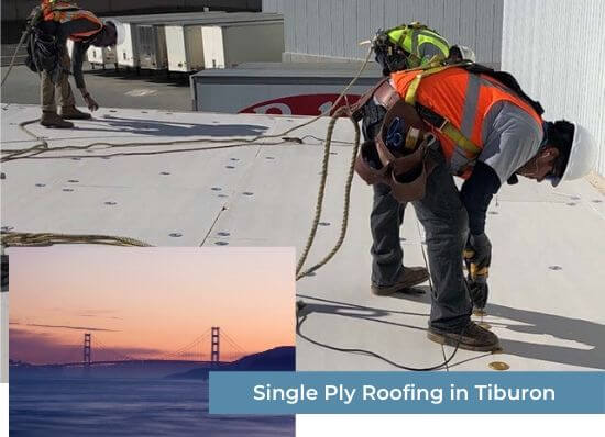 Single Ply Roofing in Tiburon