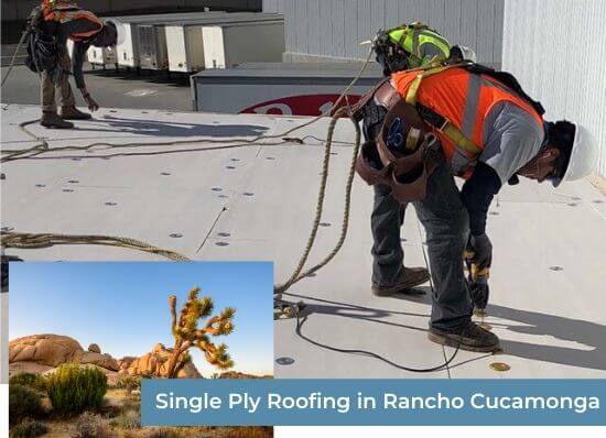 Single Ply Roofing in Rancho Cucamonga