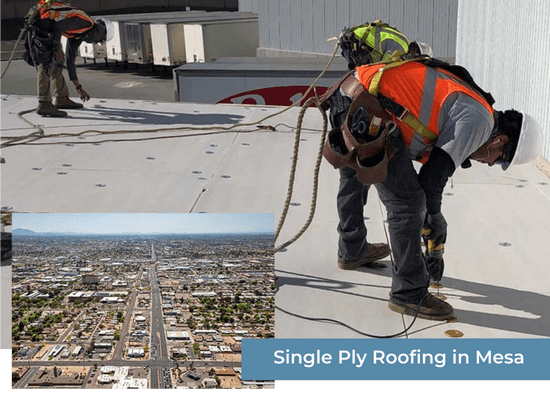 Single Ply Roofing in Mesa