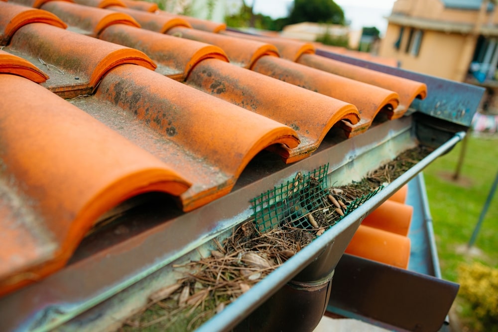 Commercial Roof Maintenance